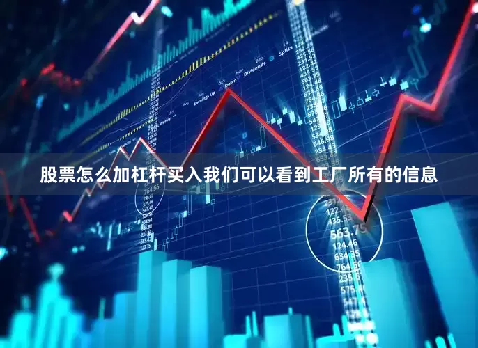 股票怎么加杠杆买入我们可以看到工厂所有的信息