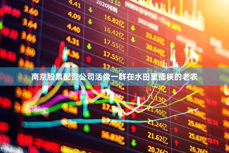 南京股票配资公司活像一群在水田里插秧的老农